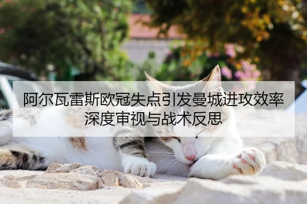 阿尔瓦雷斯欧冠失点引发曼城进攻效率深度审视与战术反思
